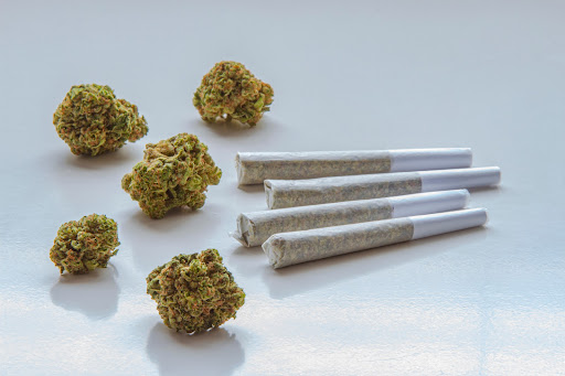 Dried flower marijuana and Pre-Rolls Cannabis Joints on a clear background