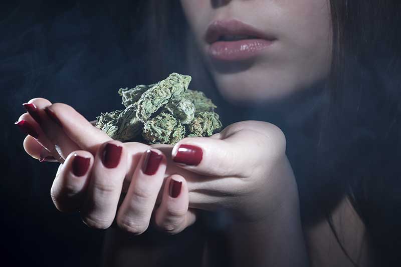 cannabis education: closeup of a woman's hands holding marijuana bud