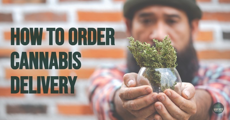 Massachusetts cannabis dispensary delivery