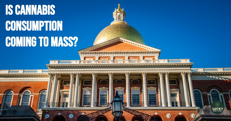 cannabis consumption mass