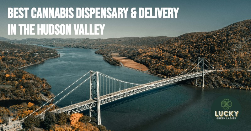 dispensary and delivery NY