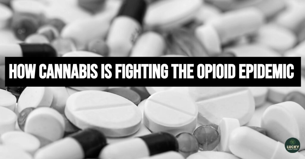 cannabis dispensary delivery and opioids