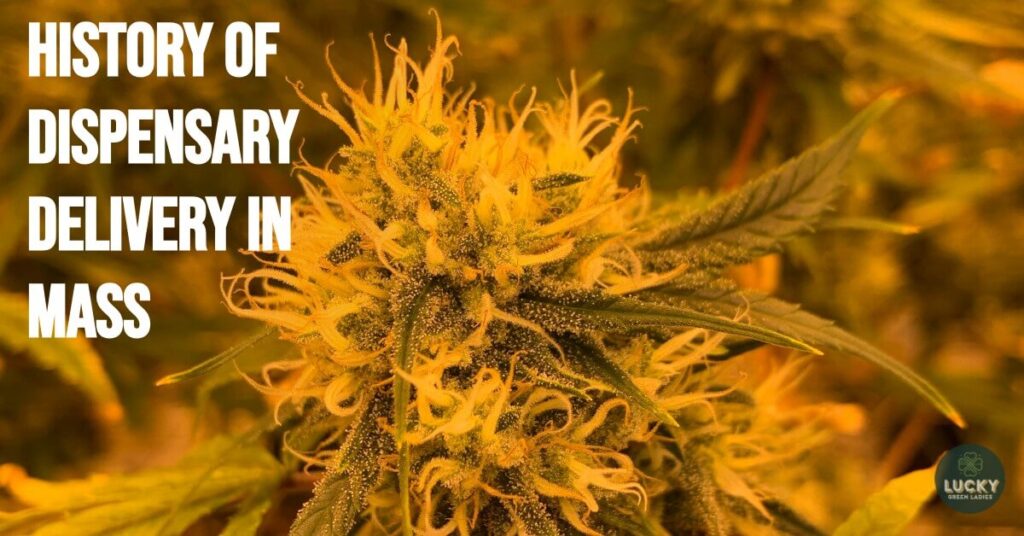 cannabis dispensary delivery mass