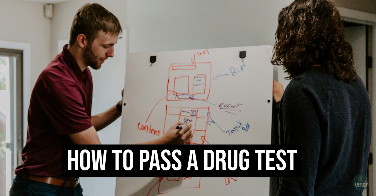 how to pass a drug test thc