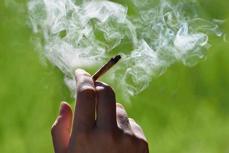 Cannabis Dispensary Delivery, West Bridgewater MA