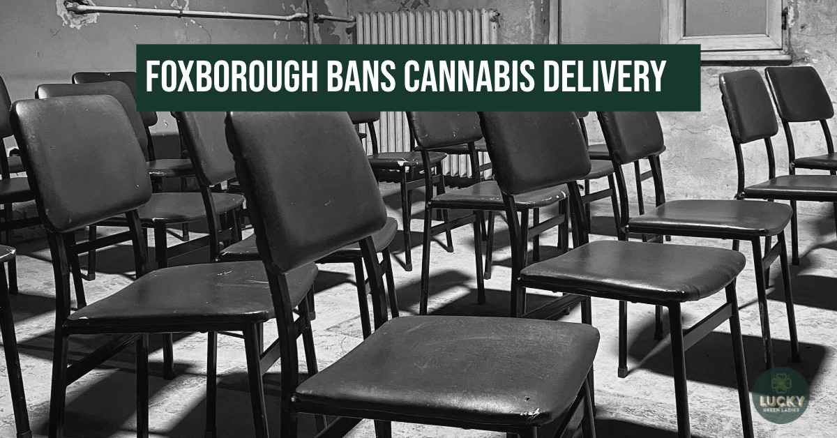 foxborough bans cannabis delivery