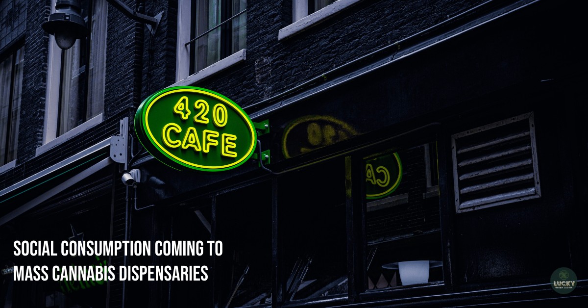 social consumption massachusetts cannabis dispensaries