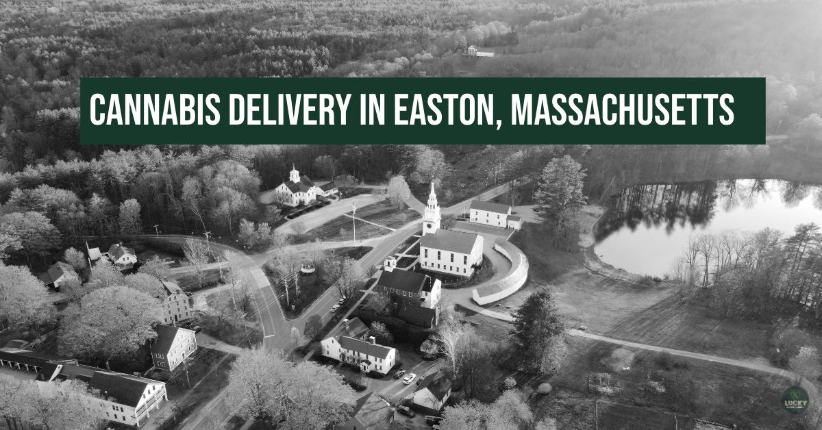 easton mass cannabis dispensary delivery