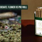 Flower vs pre roll cannabis dispensary delivery